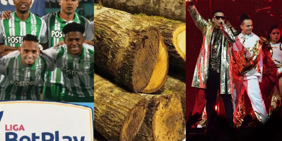 Los tres jugadores de Atlético Nacional han sido troncos en el equipo en lo corrido de esta temporada y ahora fueron vistos de fiesta