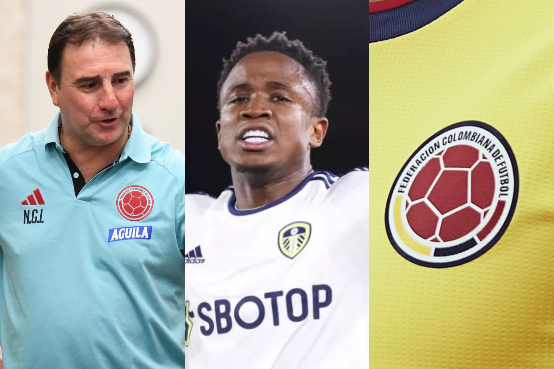 Luis Sinisterra le da buenas noticias a Néstor Lorenzo en la Selección Colombia.