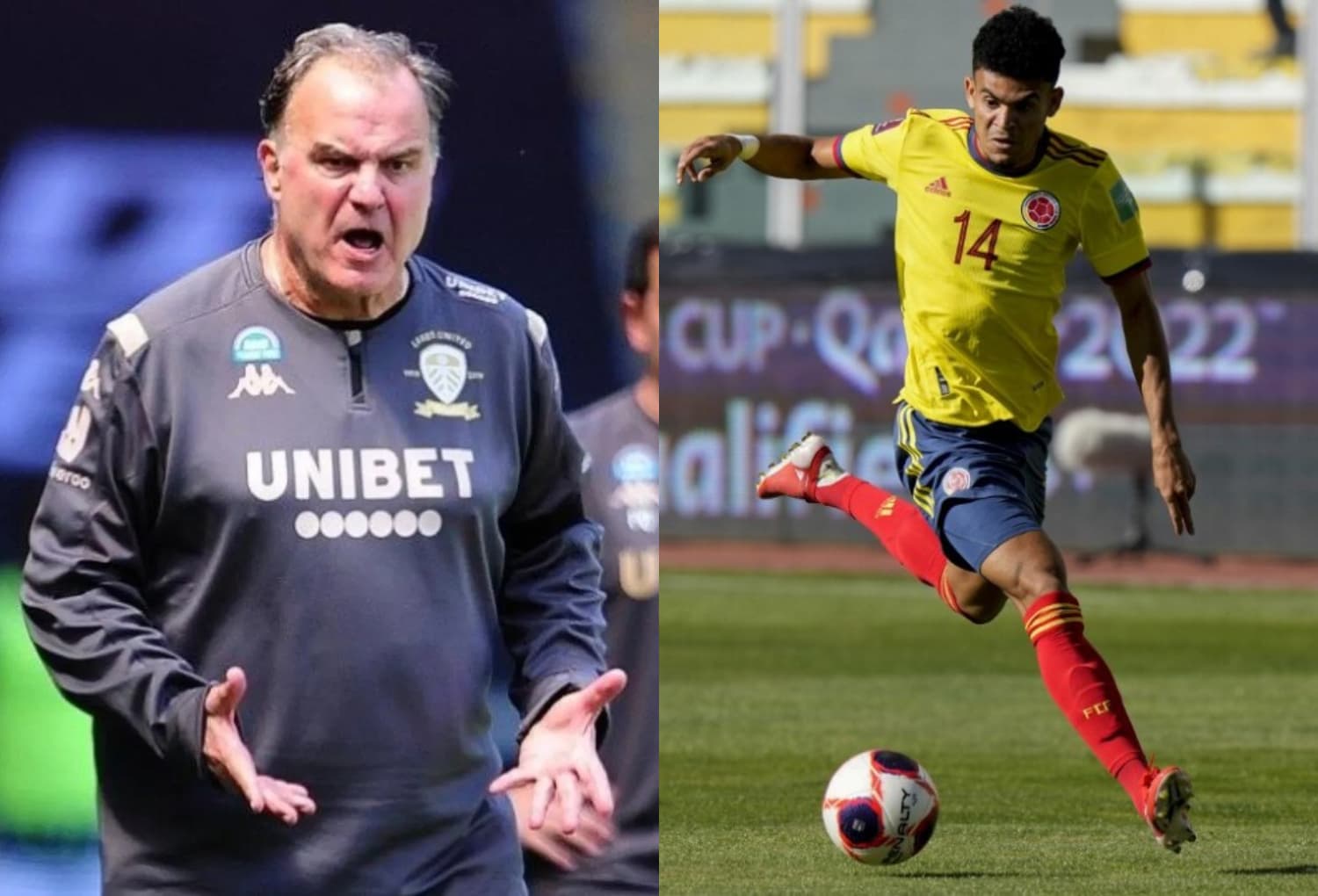 Marcelo Bielsa está siendo negociado por la Selección Bolivia, la Federación Colombiana de Fútbol (FCF) estaría de brazos cruzados y podría irse con los del altiplano.