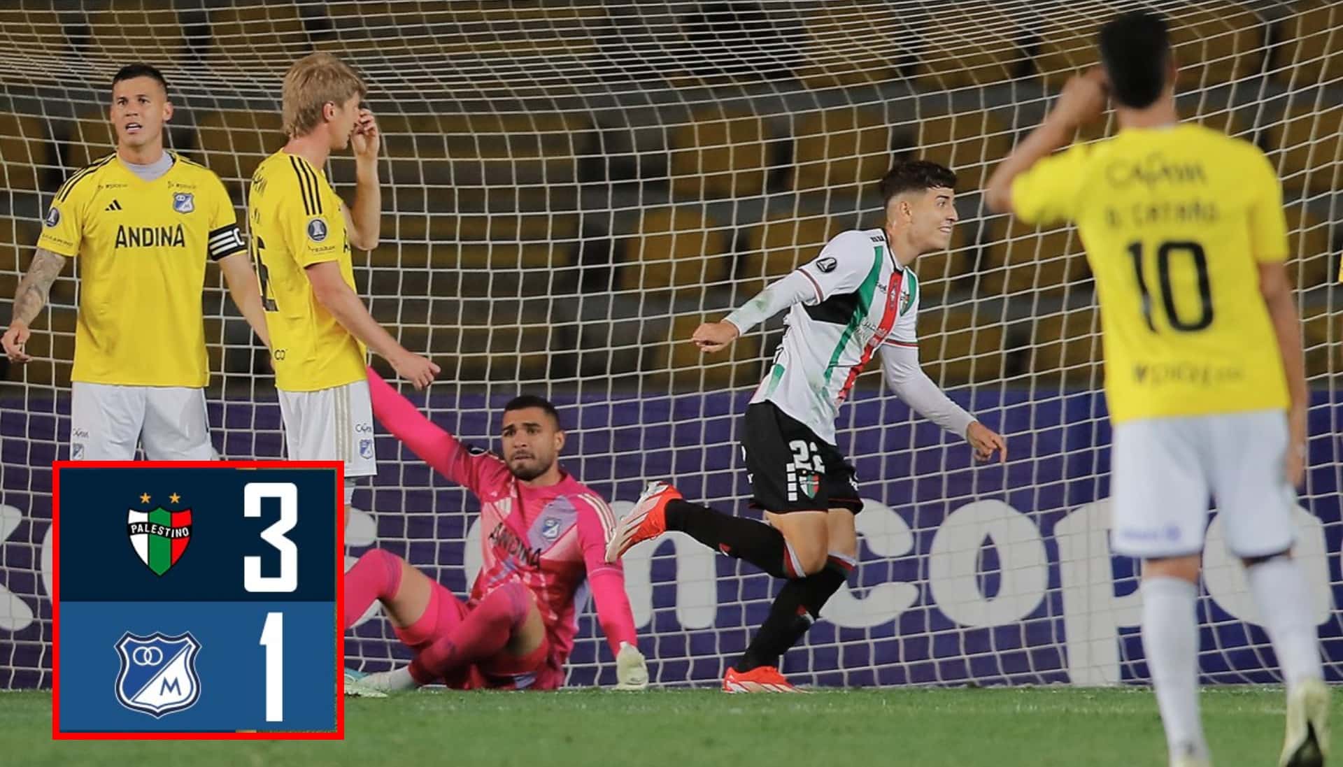 Millonarios vs Palestino por Copa Libertadores- Fotos: Redes Millonarios, @gomezjuansebas