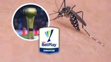 ¡Polémica! Este club de la Liga Betplay exige vacuna para ir al estadio. Foto: Pexels, Win Sports y Escudoteca