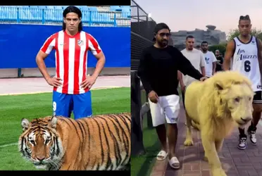 Radamel Falcao es conocido como El Tigre y sorprendió que un jugador del Real Madrid apareció junto a un león en sus vacaciones.