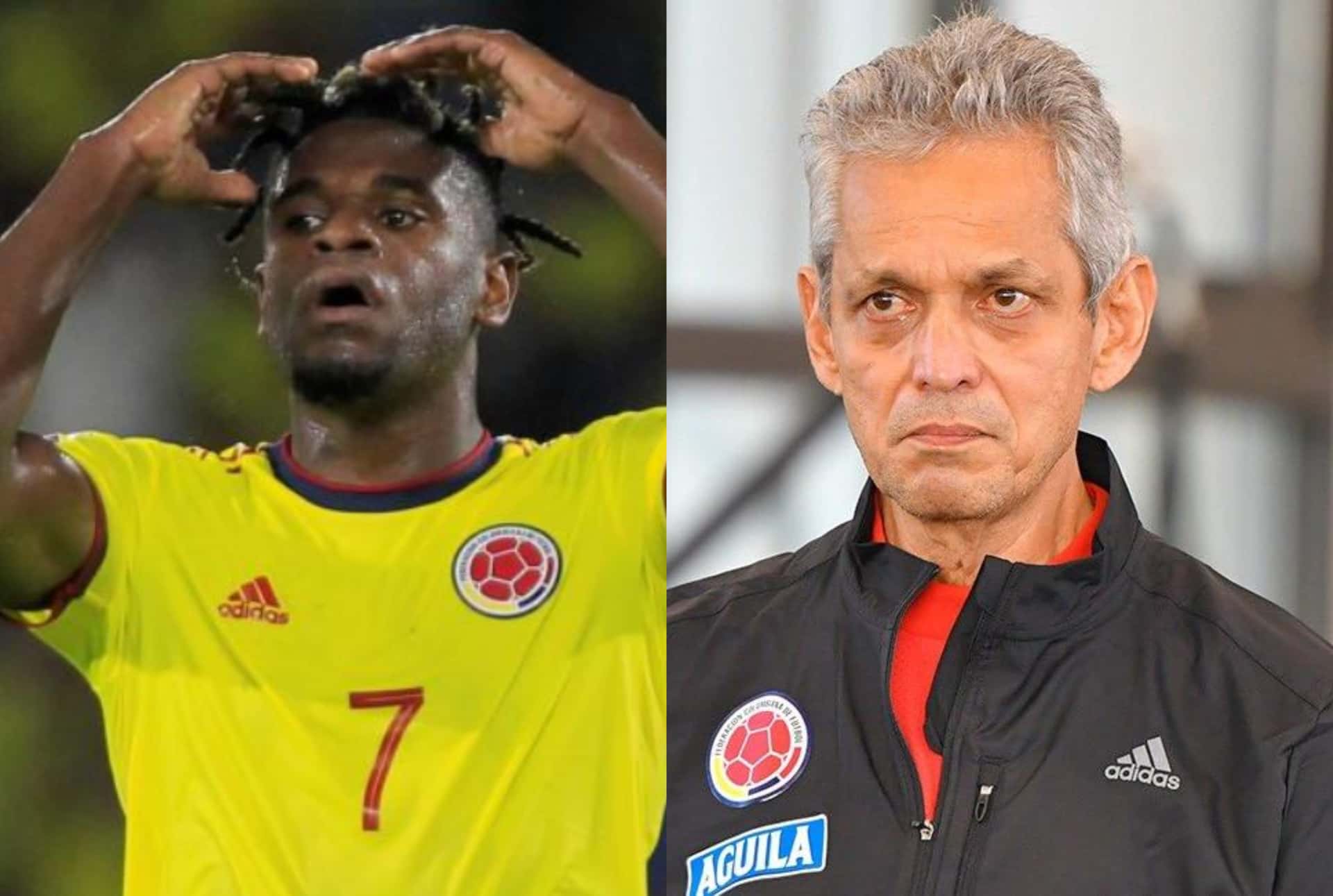 Rueda está enfrentando un gran problema con el caso de Zapata, analiza si dejarlo en la Selección Colombia o sacarlo de una vez por todas.