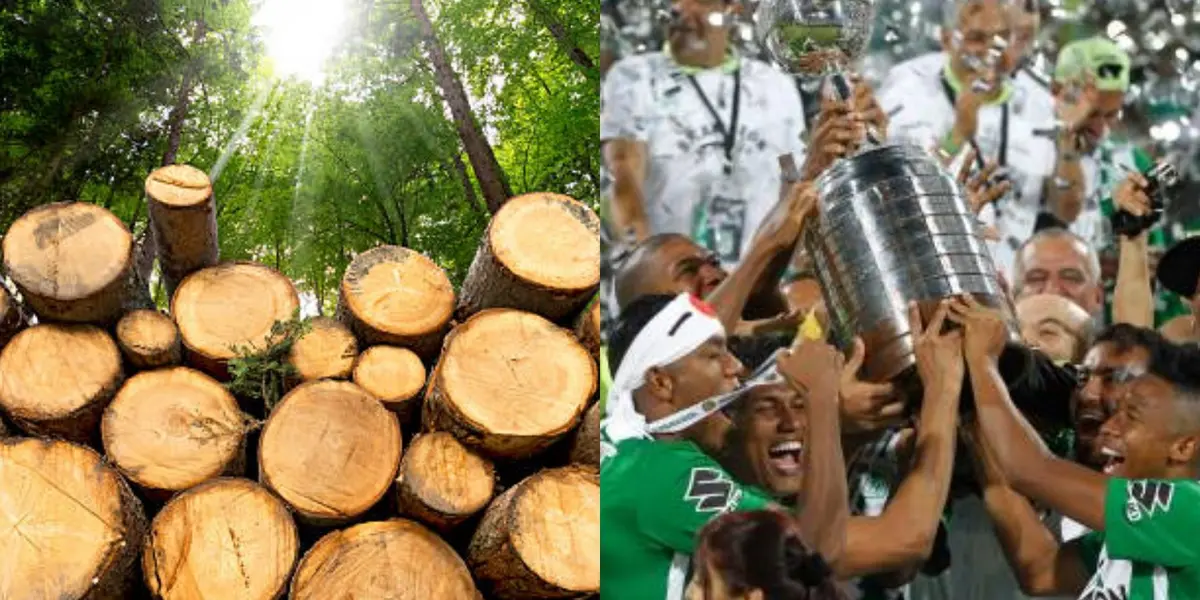 Un ex jugador de Atlético Nacional que la pasa mal, dicen que podría volver al “Verdolaga”.