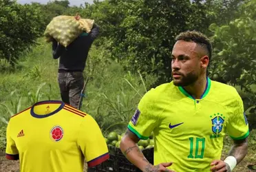 Un jugador colombiano no es para nada del agrado de Neymar y este ahora tiene un negocio agrícola en Colombia.