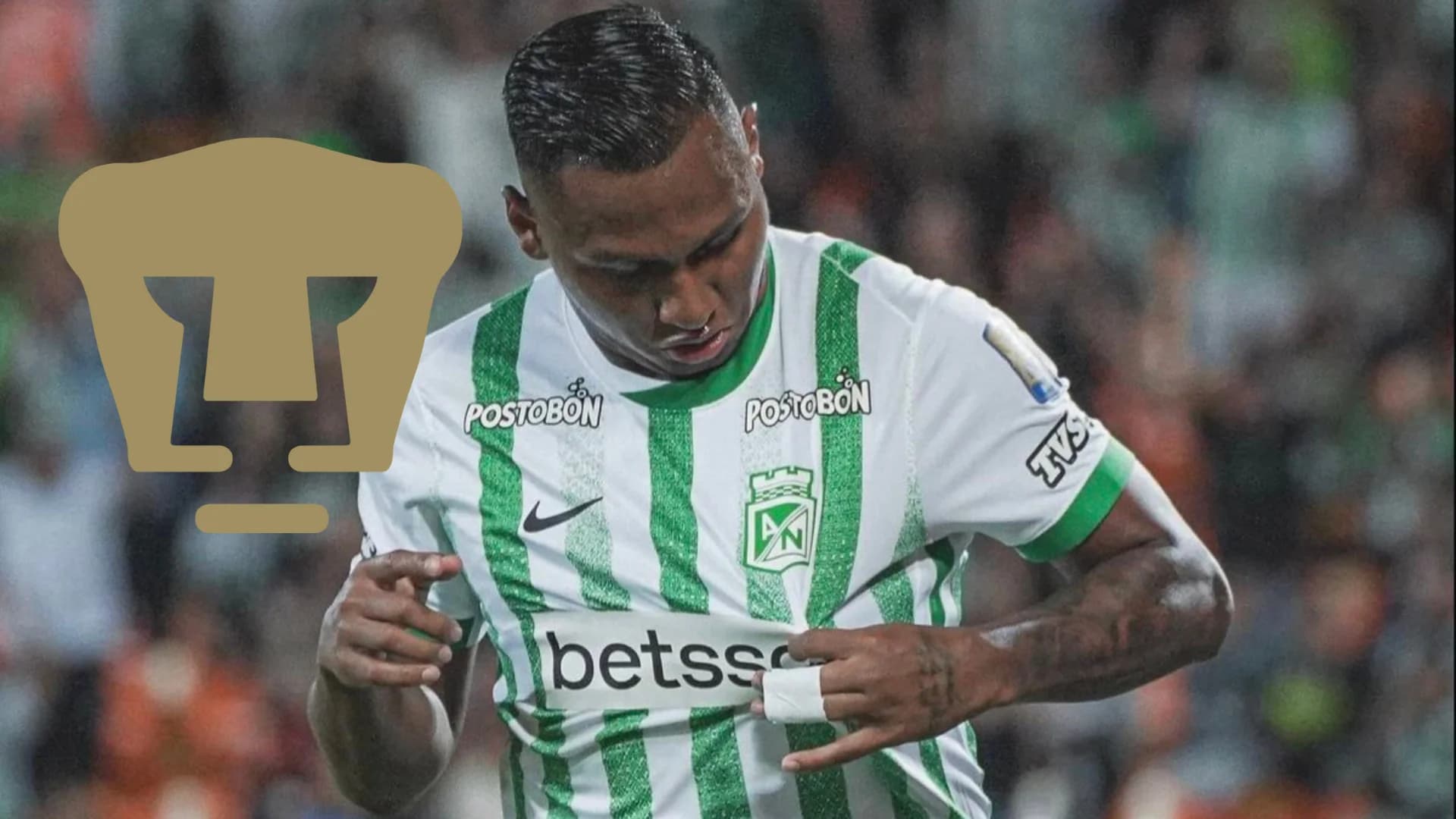 Un nuevo contendiente por Morelos, Pumas