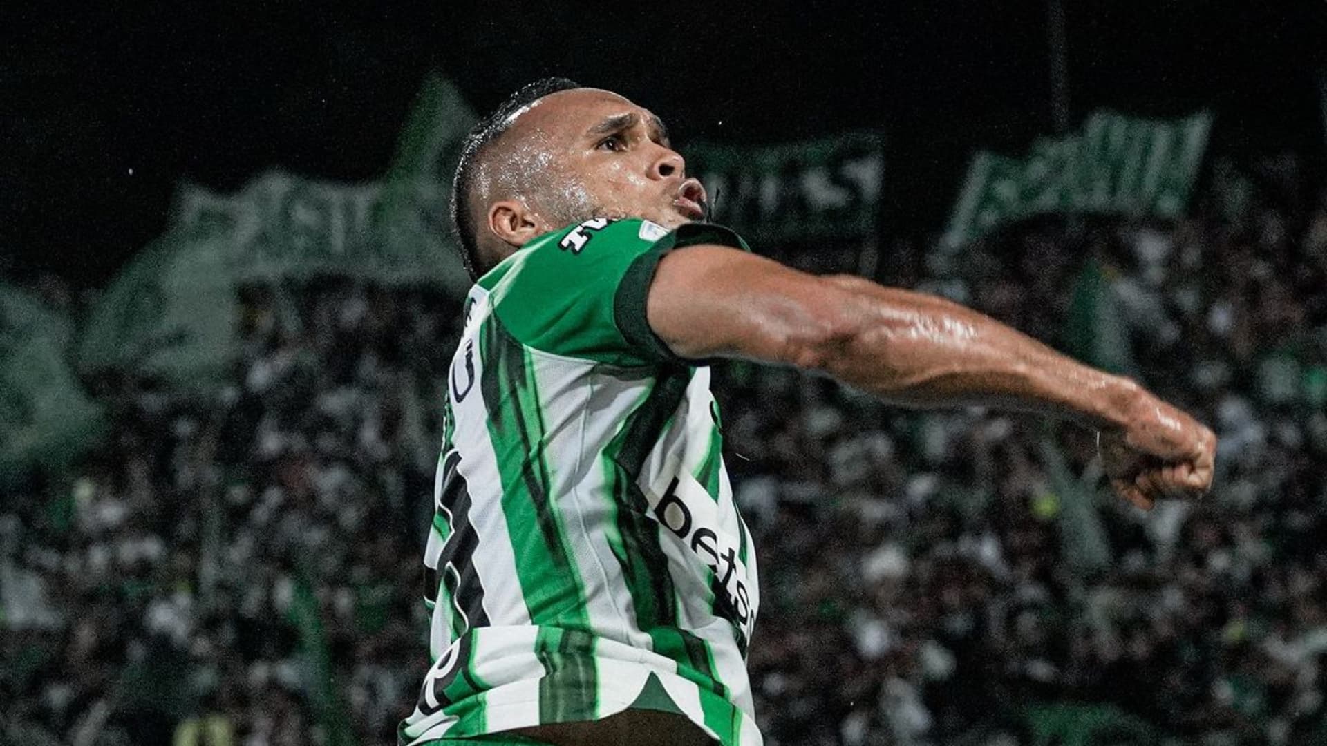 Verdolagas en modo maratón: Conoce el exigente calendario de noviembre. Foto: Instagram