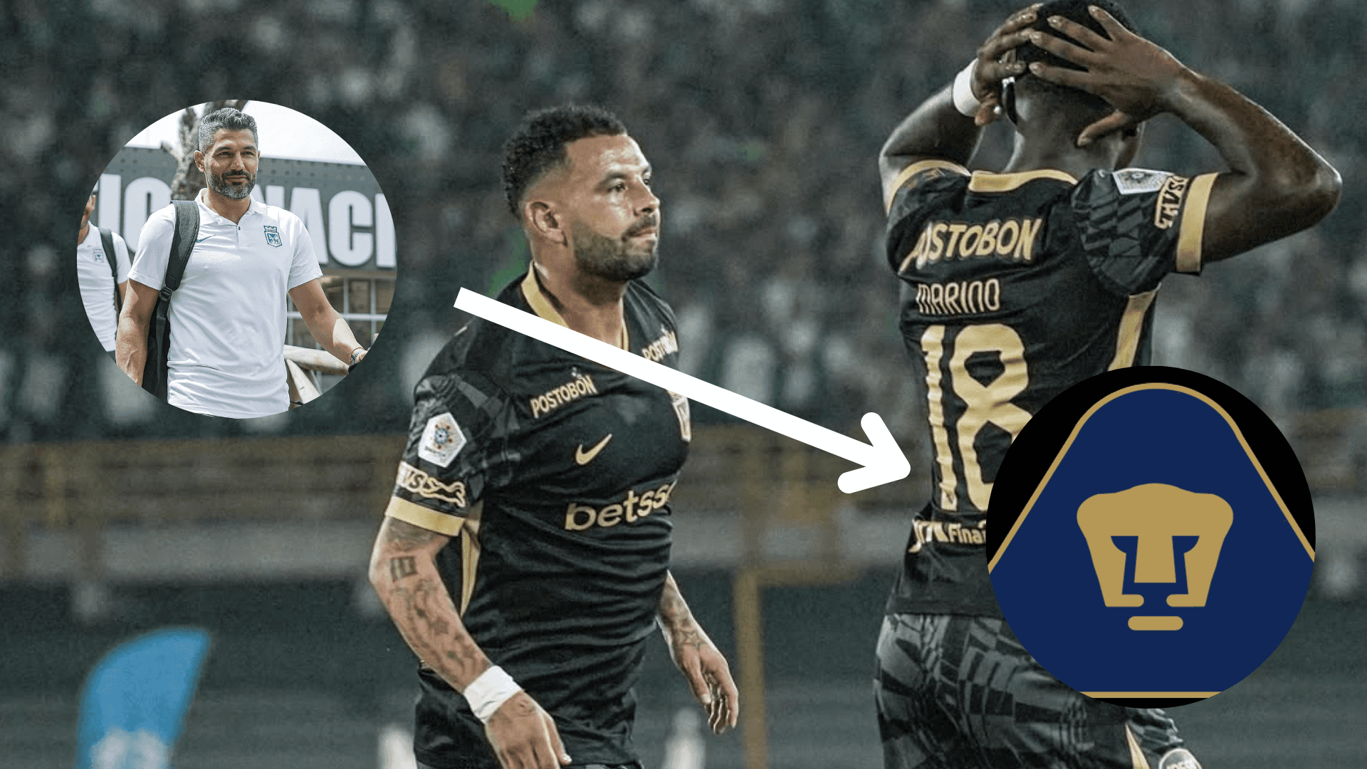 ¿William Tesillo Cambiará el Verde por el Azul y Oro?