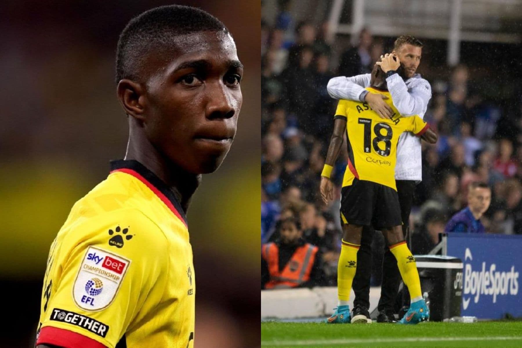 Yaser Asprilla recibió elogios de su entrenador en el Watford de Inglaterra.